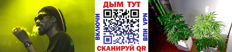 Купить закладки  Лаишево  Шишки марихуана планчик 